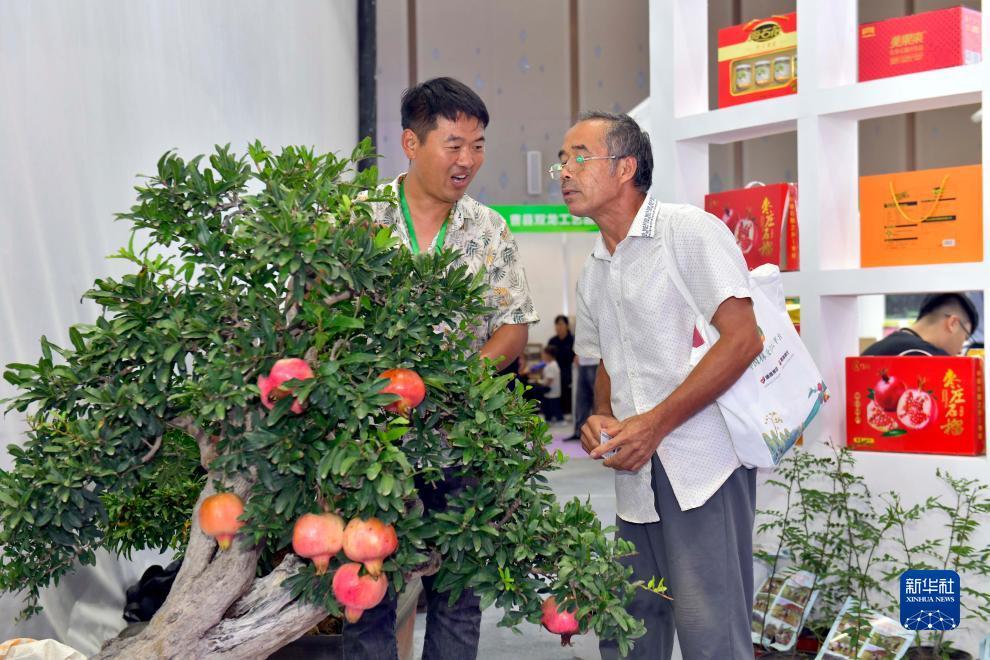 澳门新匍京体验玩游戏